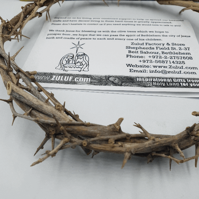 Jerusalem authentic biblical lifesize crown of thorns from holy land