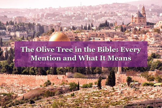 The Olive Tree in the Bible: Every Mention and What It Means (2026 Guide)