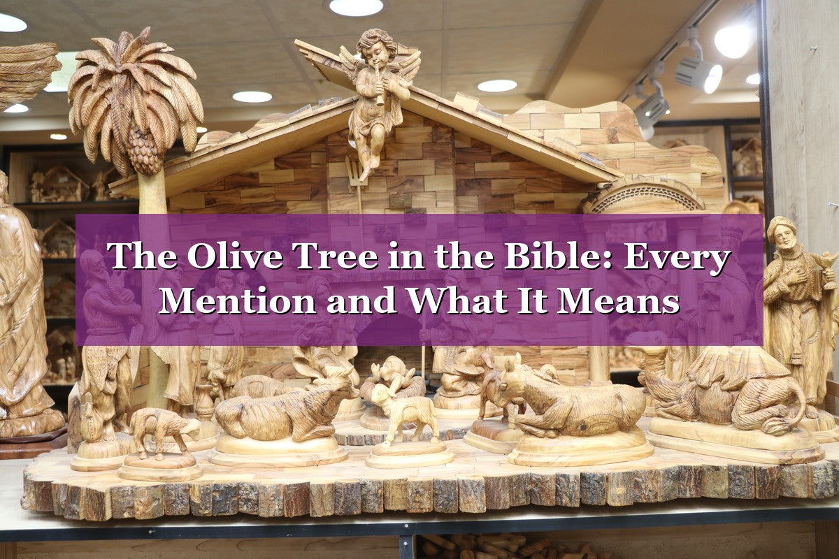 The Olive Tree in the Bible: Every Mention and What It Means (2026 Guide)