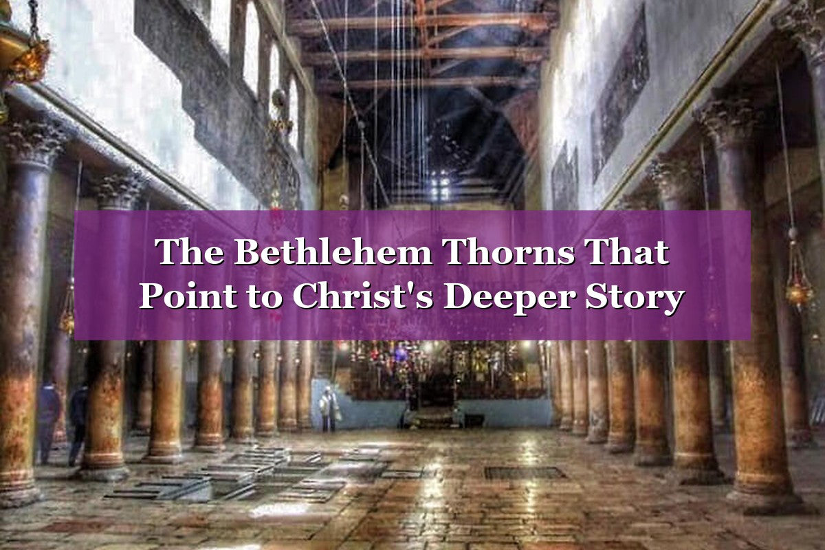 Bethlehem Thorns: The Sacred Symbol Woven Into Christ's Story