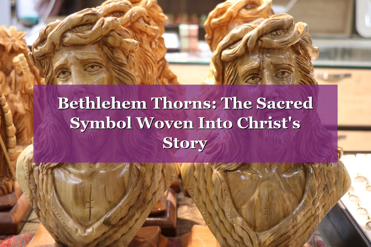Bethlehem Thorns: The Sacred Symbol Woven Into Christ's Story