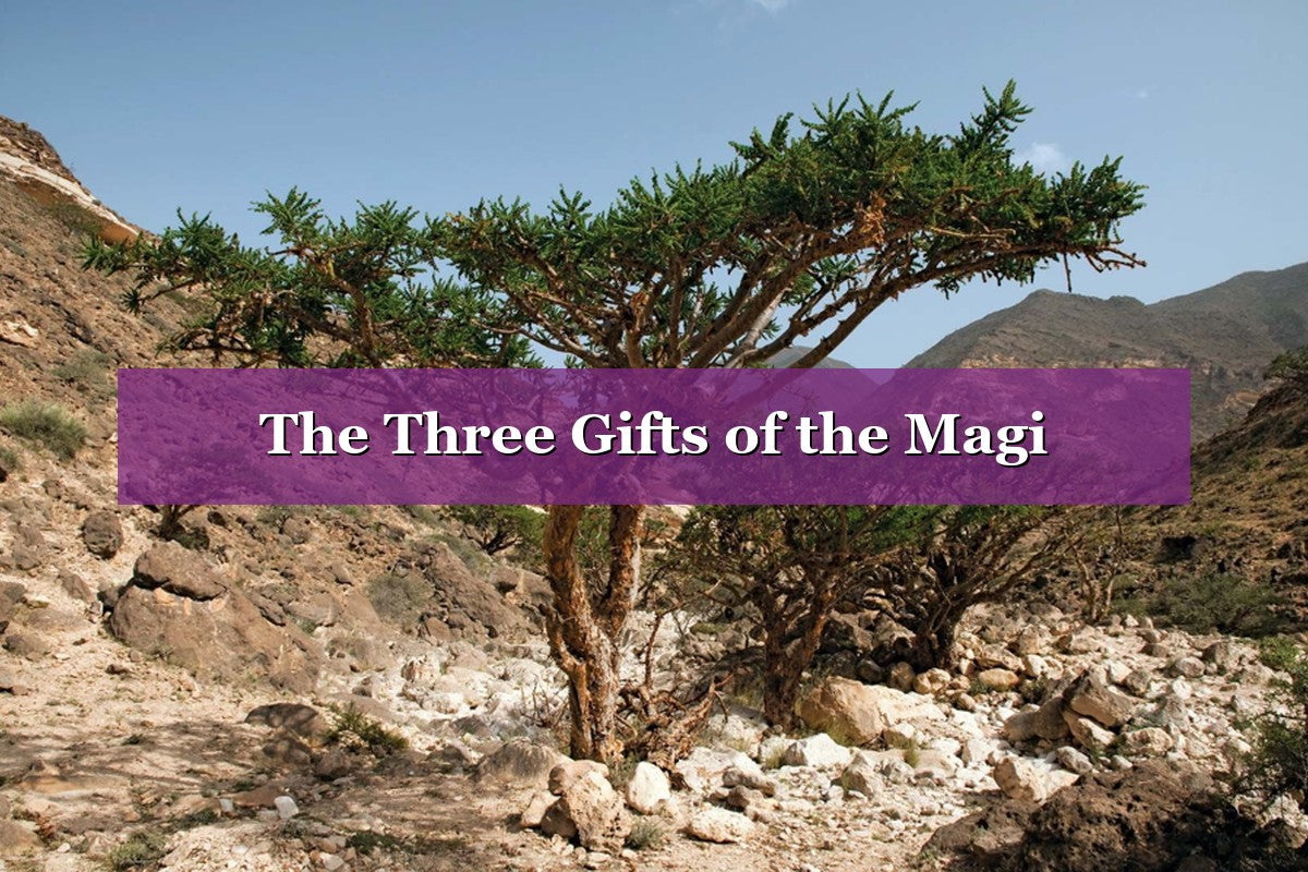 The Three Gifts of the Magi