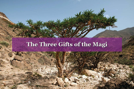 The Three Gifts of the Magi