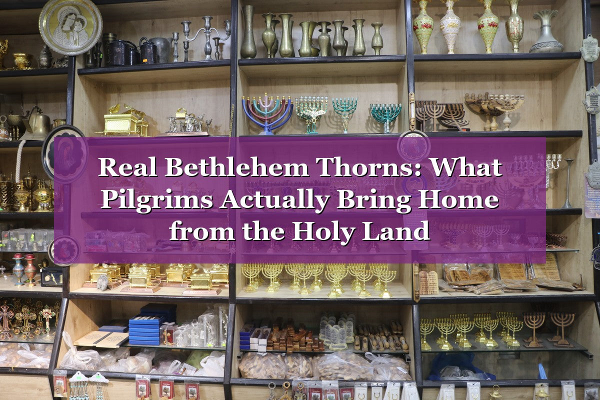 Real Bethlehem Thorns: What Pilgrims Actually Bring Home from the Holy Land