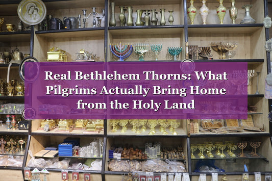 Real Bethlehem Thorns: What Pilgrims Actually Bring Home from the Holy Land