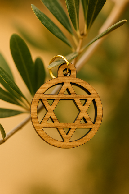 Olive Wood Star of David Charms Set of 10 - Detail View