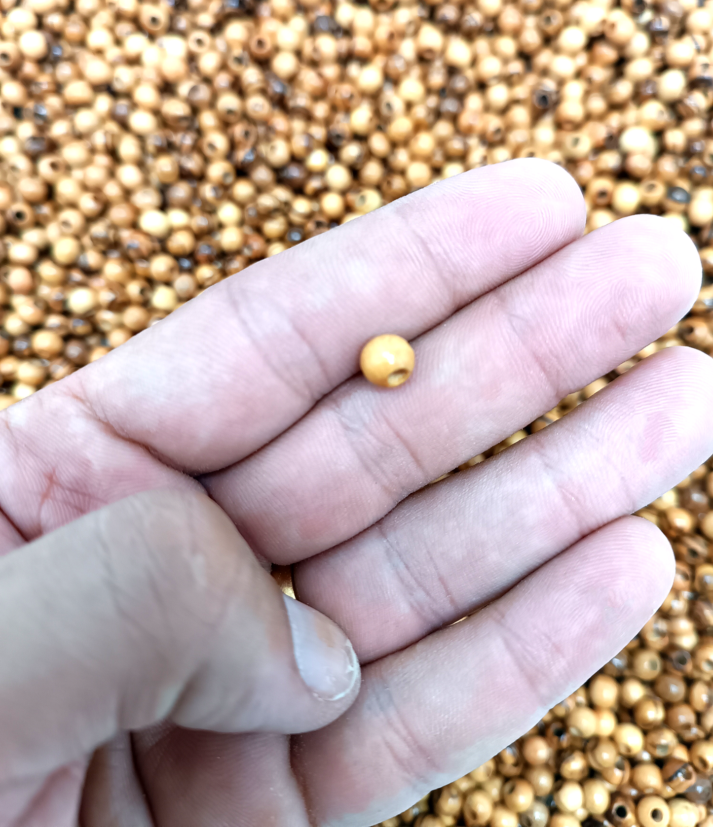 5mm Round Hand crafted Olive Wood Beads from Bethlehem