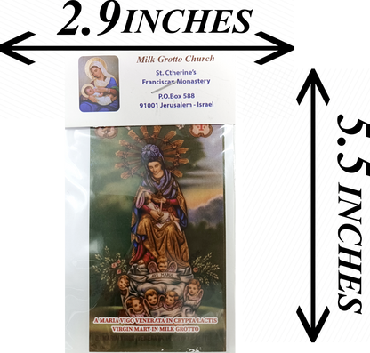 Milk Grotto Holy Land Rock Powder – 3.5" x 2.9" Fertility Blessing from Bethlehem | Virgin Mary Devotional