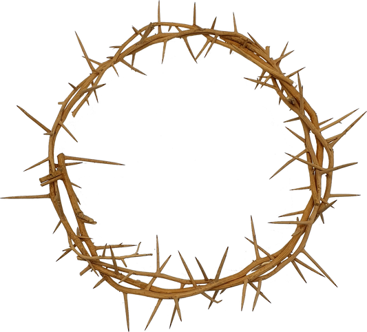 Jerusalem Authentic Biblical Lifesize Crown of Thorns from Holy Land