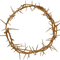 Jerusalem Authentic Biblical Lifesize Crown of Thorns from Holy Land