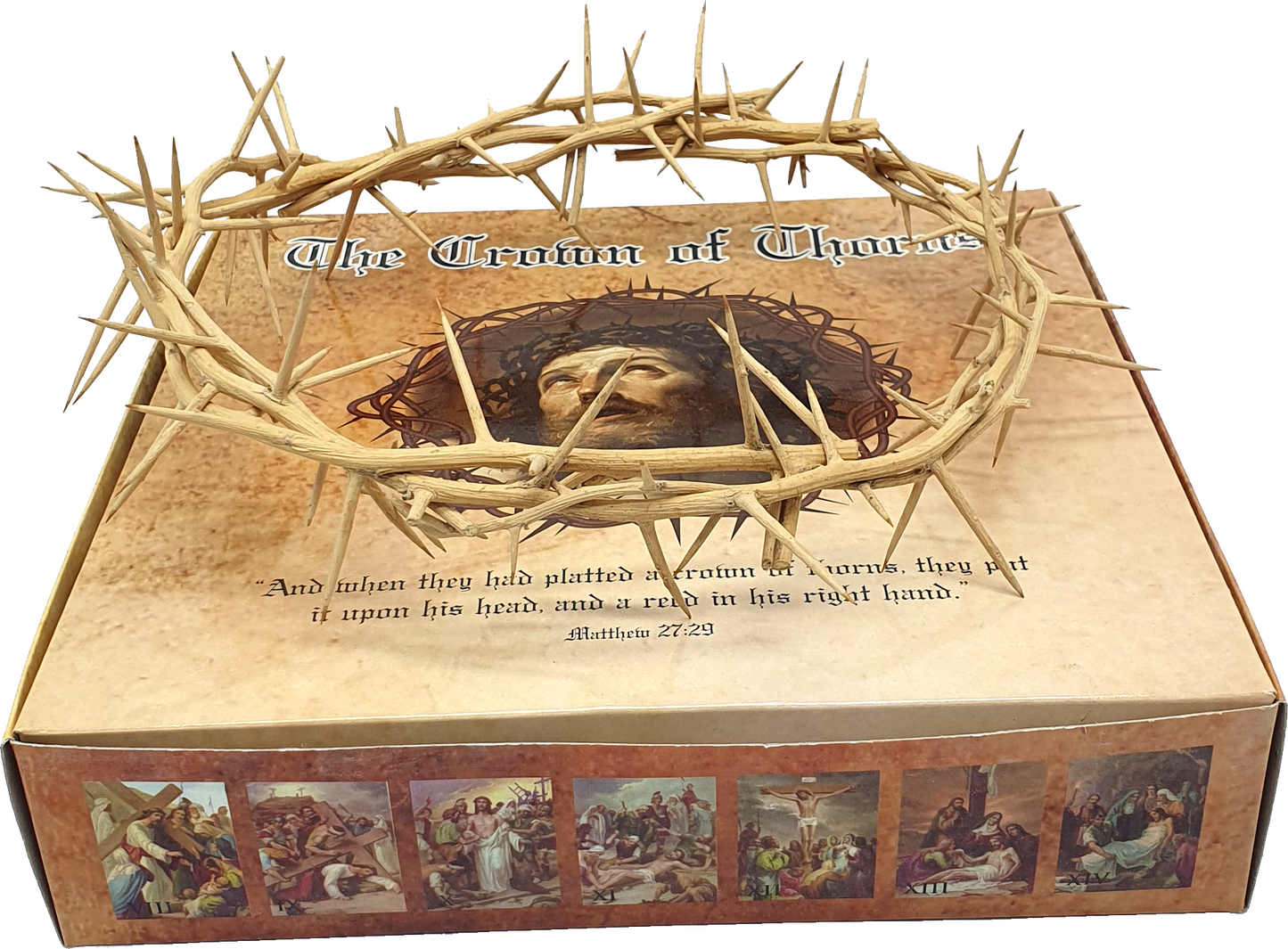 Jerusalem Authentic Handmade Crown of Thorns from the Holy Land 7.5 Inch