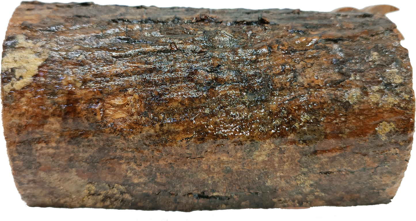 Hand Carved Olive Wood Nativity Scene from Bethlehem - Rustic Holy Family in Natural Bark Grotto