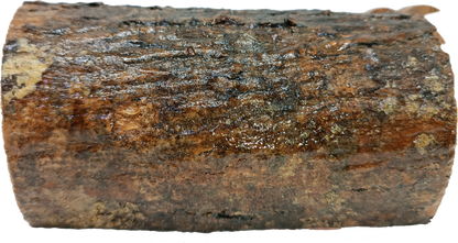 Hand Carved Olive Wood Nativity Scene from Bethlehem - Rustic Holy Family in Natural Bark Grotto