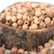 8mm Round Hand made Olive Wood Beads from Bethlehem
