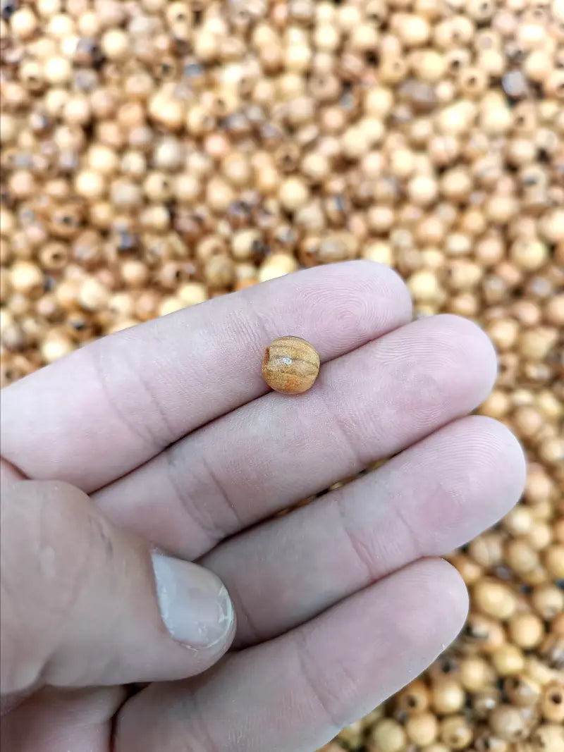 Hand made olive wood beads 8mm from bethlehem