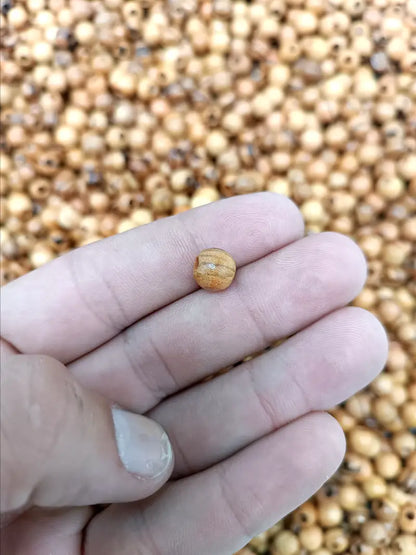 Hand made olive wood beads 8mm from bethlehem