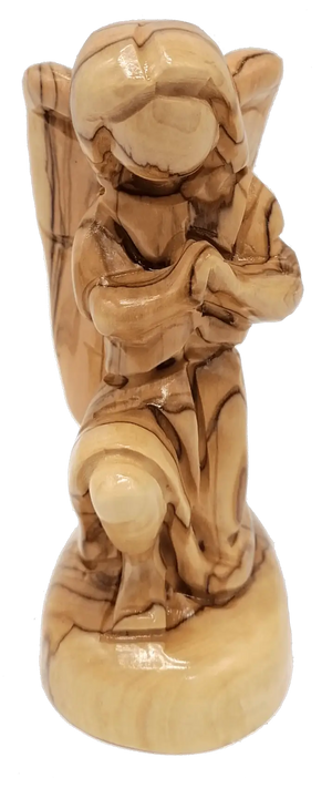 Descriptive image text