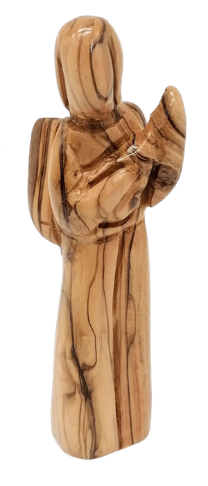 Descriptive image text