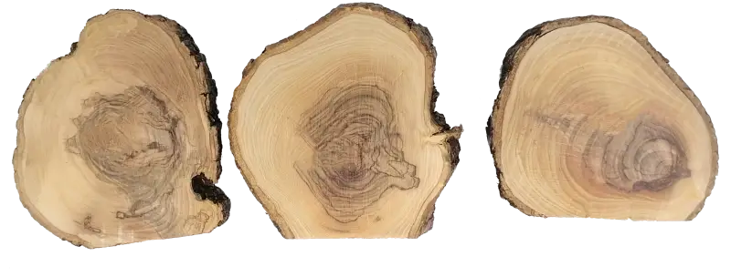 Handcrafted olive wood nativity scene ornament from bethlehem - nativities