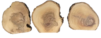 Handcrafted olive wood nativity scene ornament from bethlehem - nativities