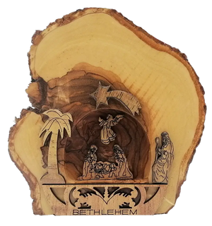 Descriptive image text