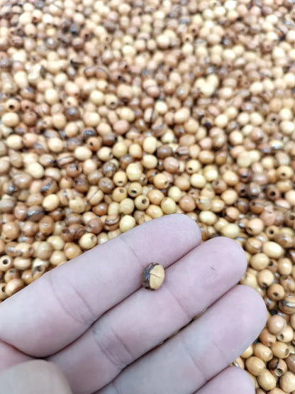 Handmade olive wood beads from bethlehem 8mm oval