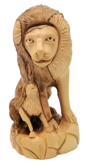 Descriptive image text