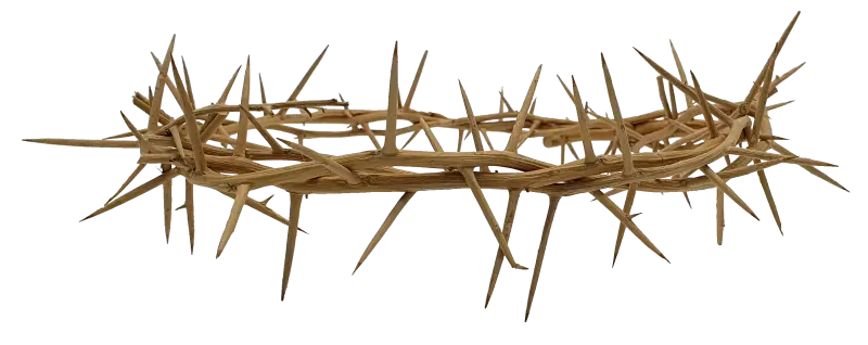 Jerusalem authentic handmade crown of thorns from the holy land 7.5 inch