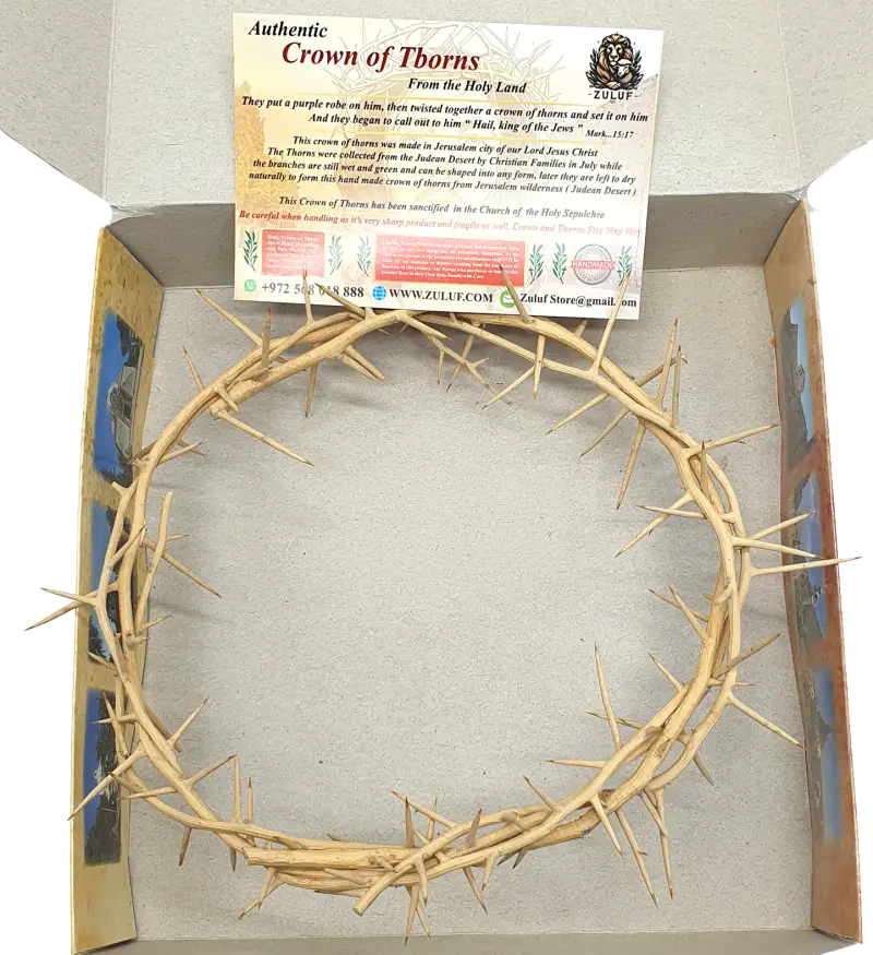 Jerusalem authentic handmade crown of thorns from the holy land 7.5 inch