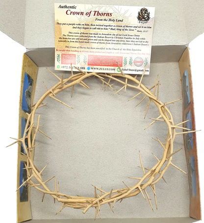 Jerusalem authentic handmade crown of thorns from the holy land 7.5 inch