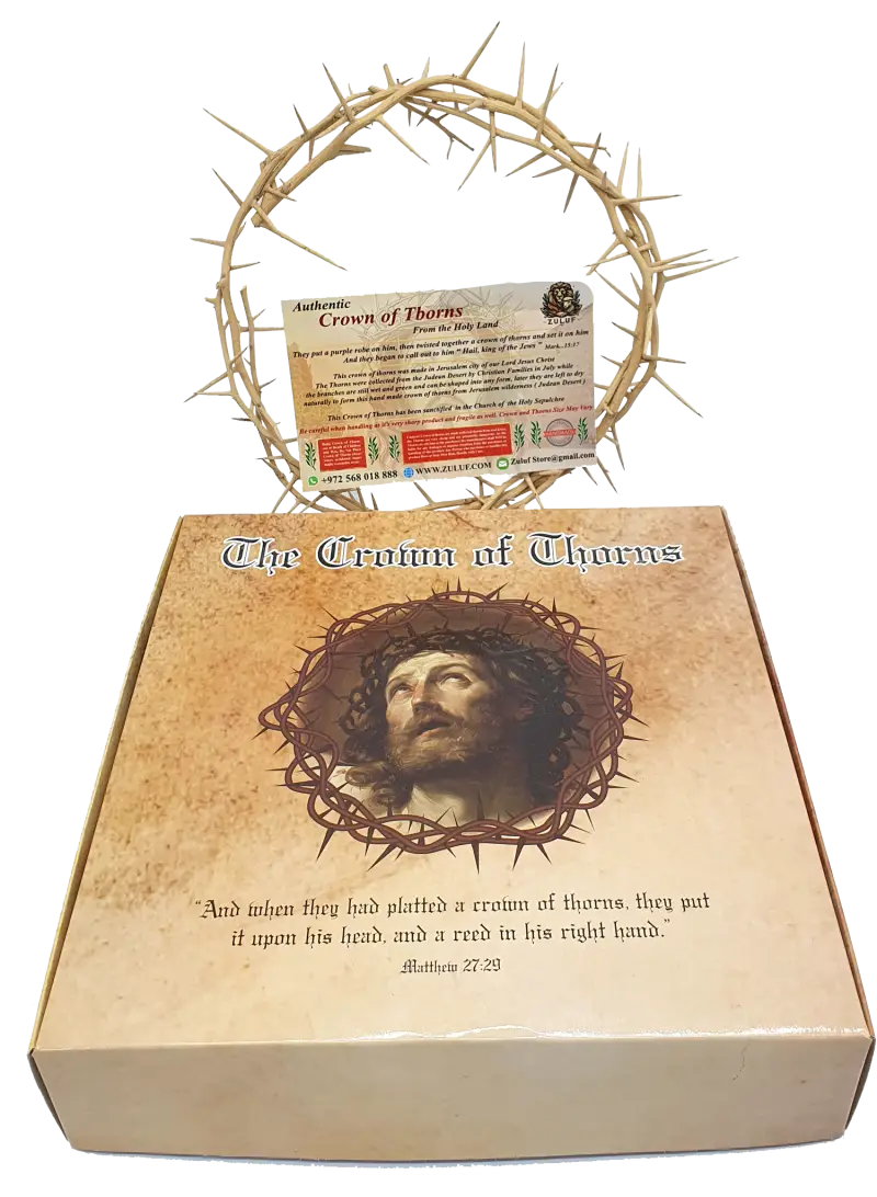 Jerusalem authentic handmade crown of thorns from the holy land 7.5 inch