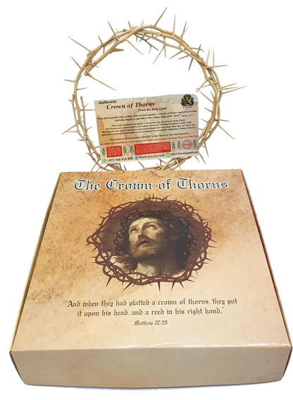 Jerusalem authentic handmade crown of thorns from the holy land 7.5 inch
