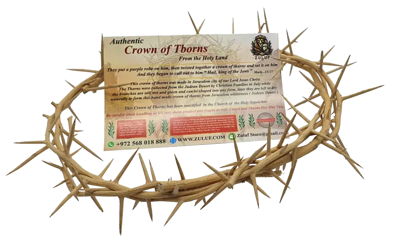 Jerusalem authentic handmade crown of thorns from the holy land 7.5 inch