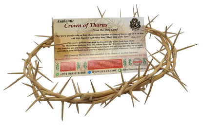 Jerusalem authentic handmade crown of thorns from the holy land 7.5 inch