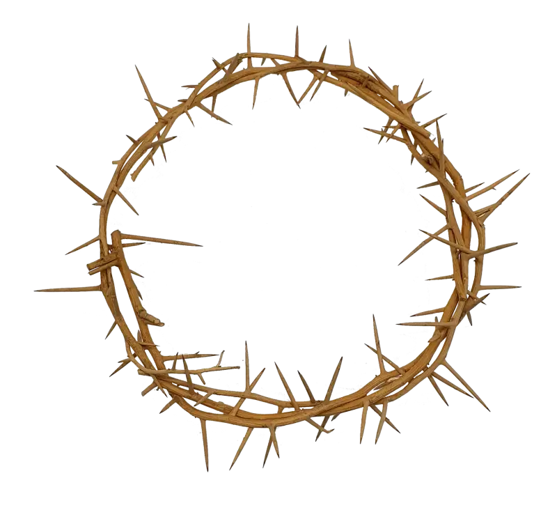 Jerusalem authentic handmade crown of thorns from the holy land 7.5 inch