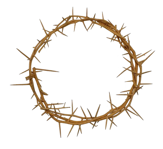 Jerusalem authentic handmade crown of thorns from the holy land 7.5 inch
