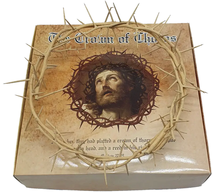 Jerusalem authentic handmade crown of thorns from the holy land 7.5 inch