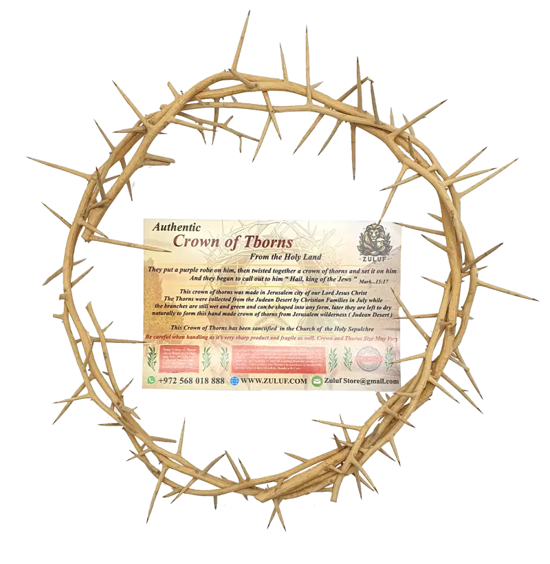 Jerusalem authentic handmade crown of thorns from the holy land 7.5 inch