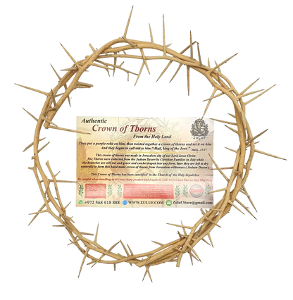 Jerusalem authentic handmade crown of thorns from the holy land 7.5 inch