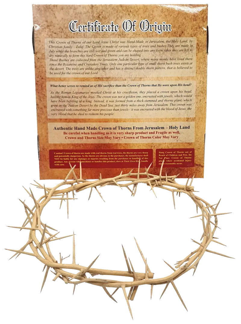 Jerusalem authentic handmade crown of thorns from the holy land 7.5 inch