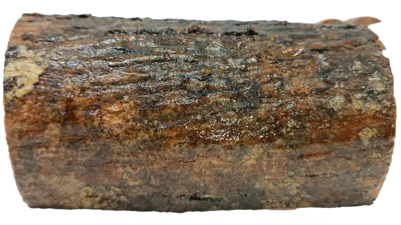 Mini olive wood bark nativity scene from bethlehem – hand carved holy family set nativities