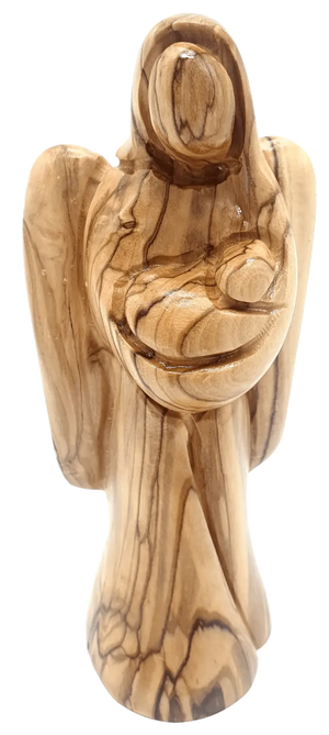 Descriptive image text