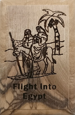 Descriptive image text