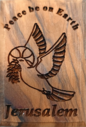 Descriptive image text