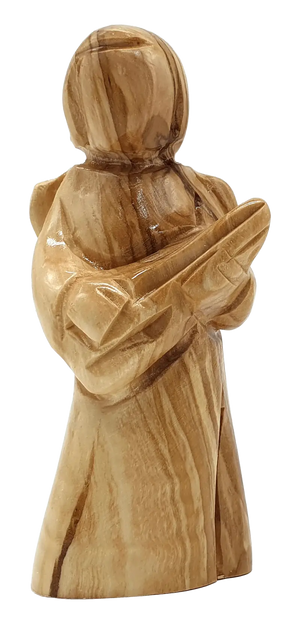 Descriptive image text