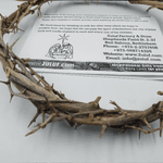 Jerusalem Authentic Biblical Lifesize Real Crown of Thorns with Box & Zuluf Certificate HLG214 - Zuluf